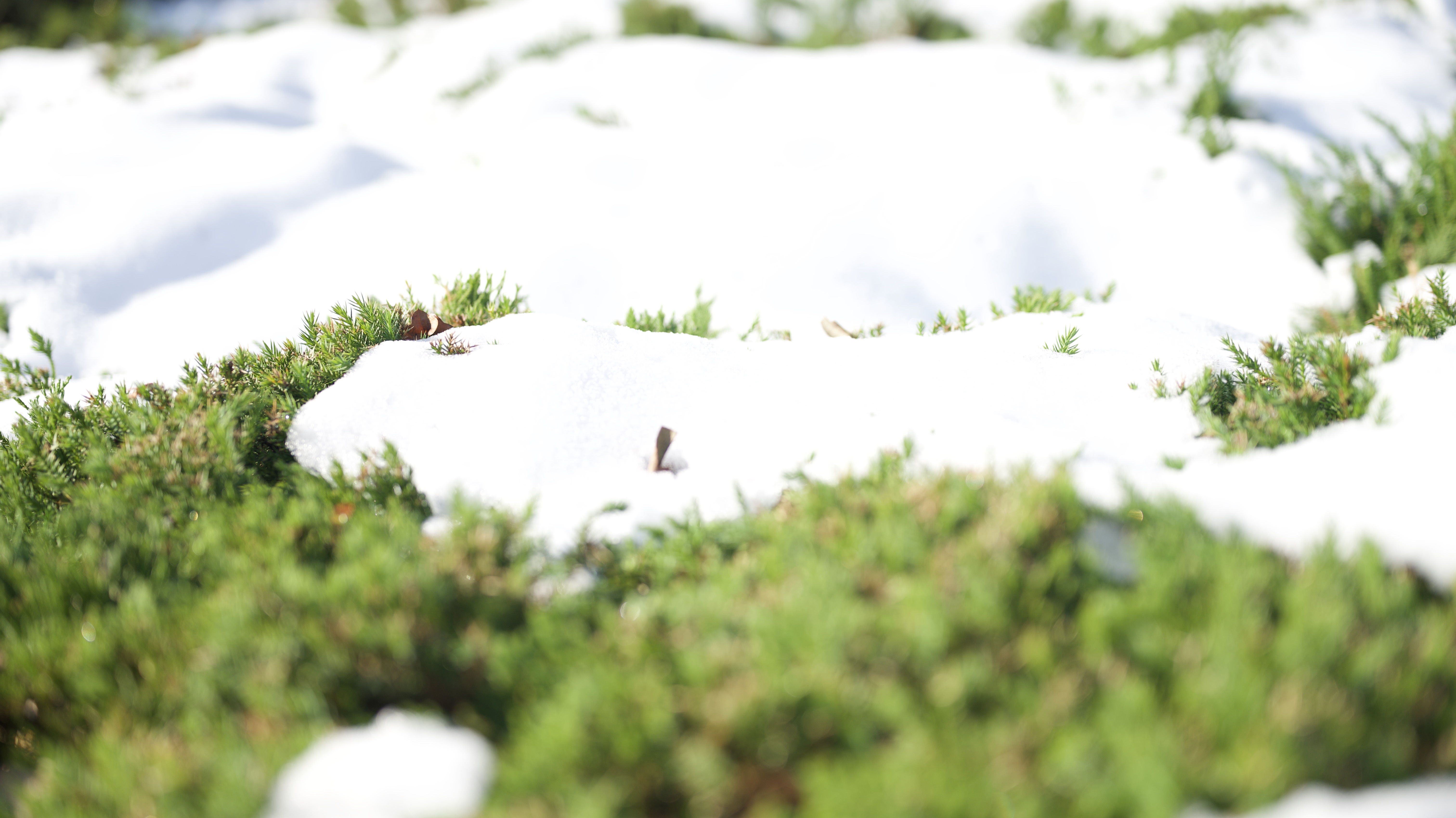 Snow in Nanjing
