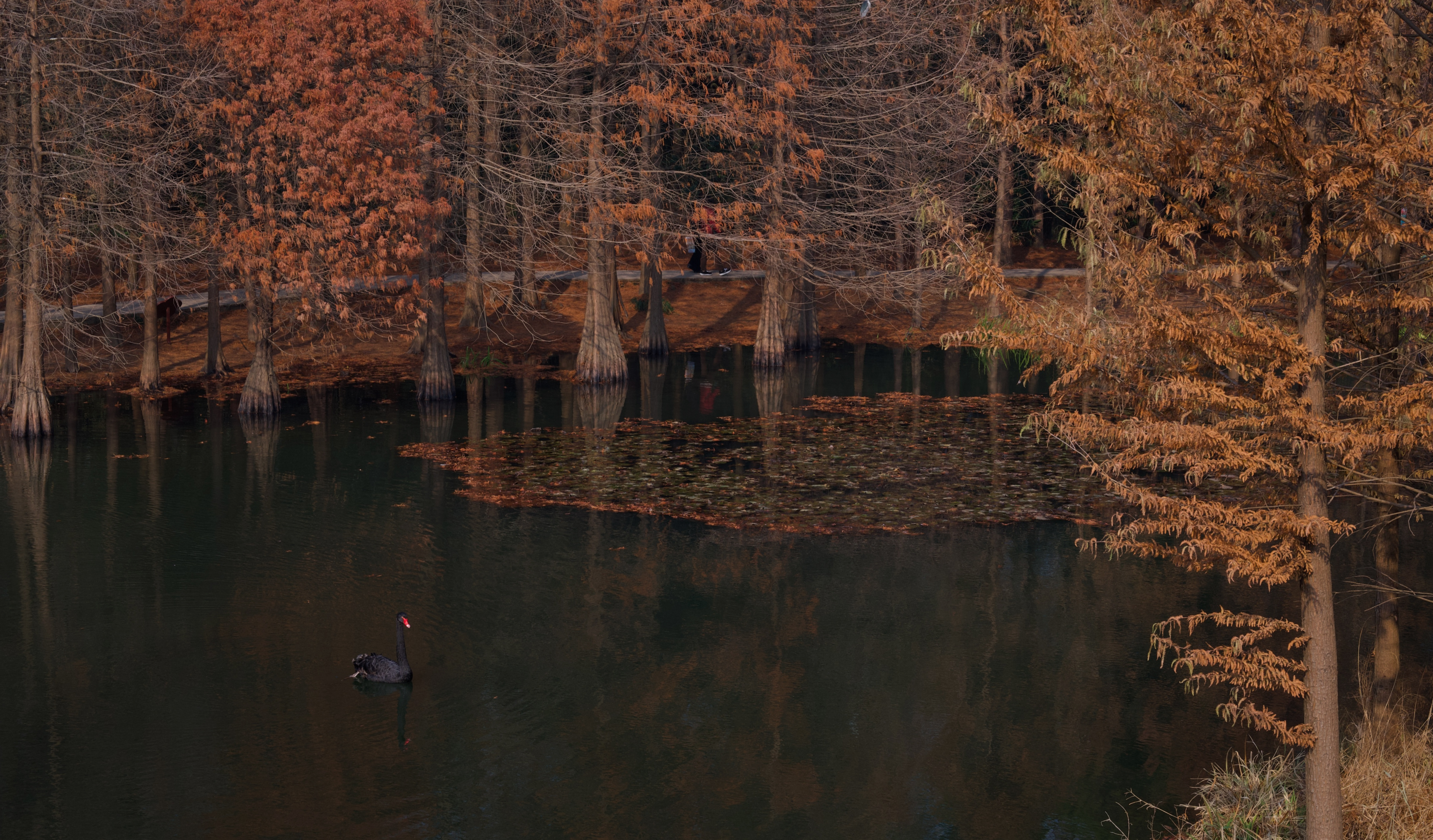 Yanque Lake 2