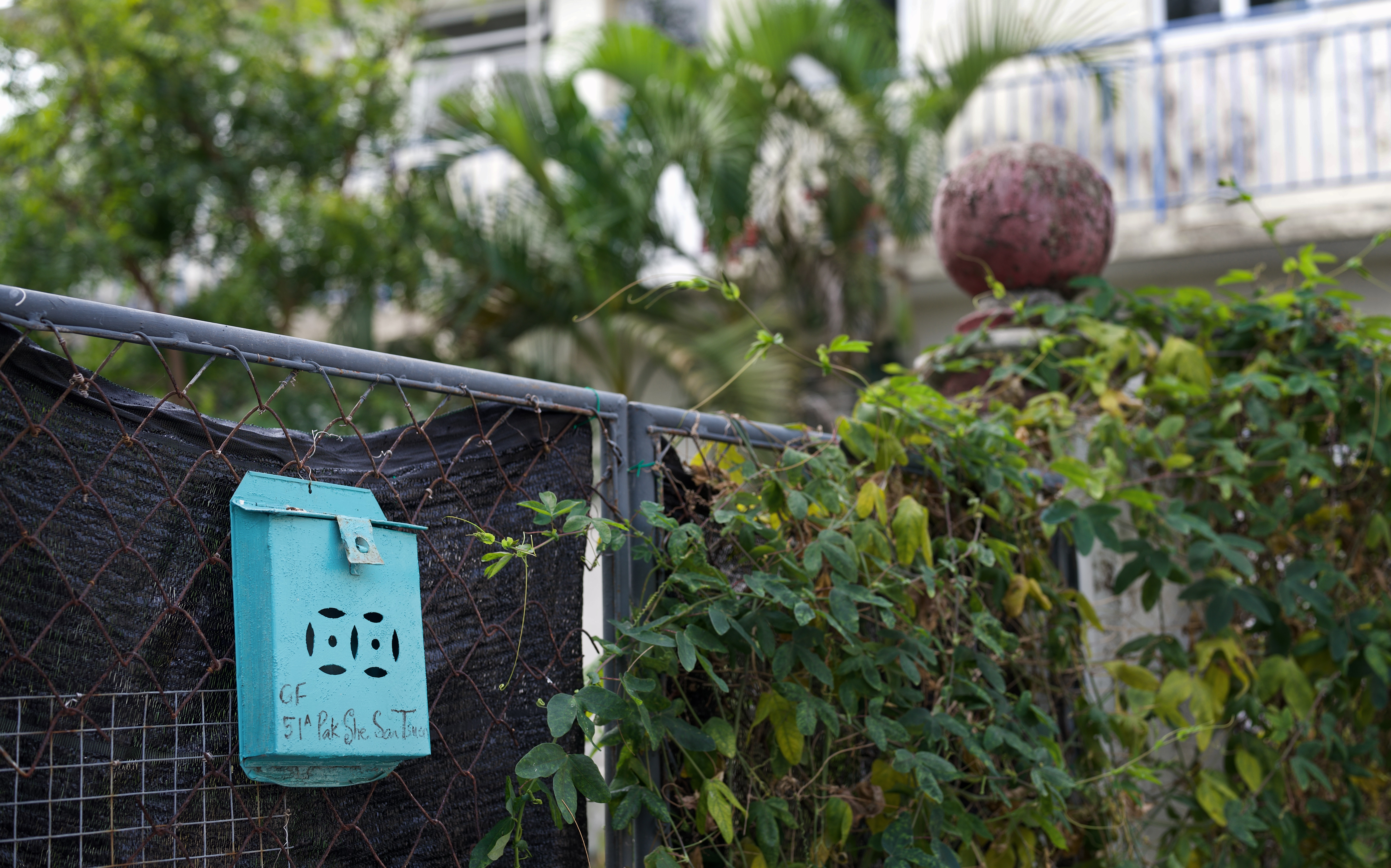 Cheung Chau 3