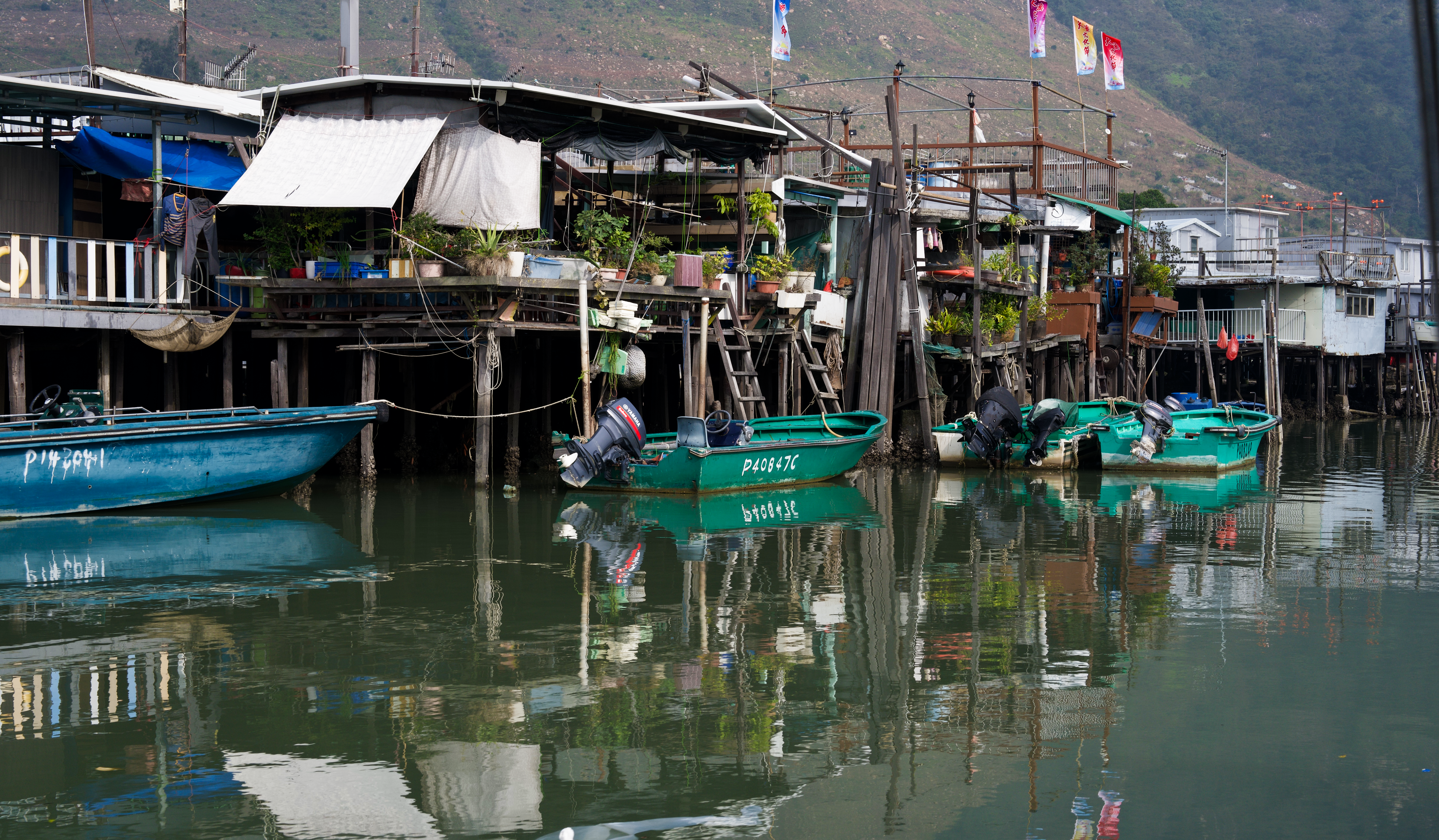 Tai O 4