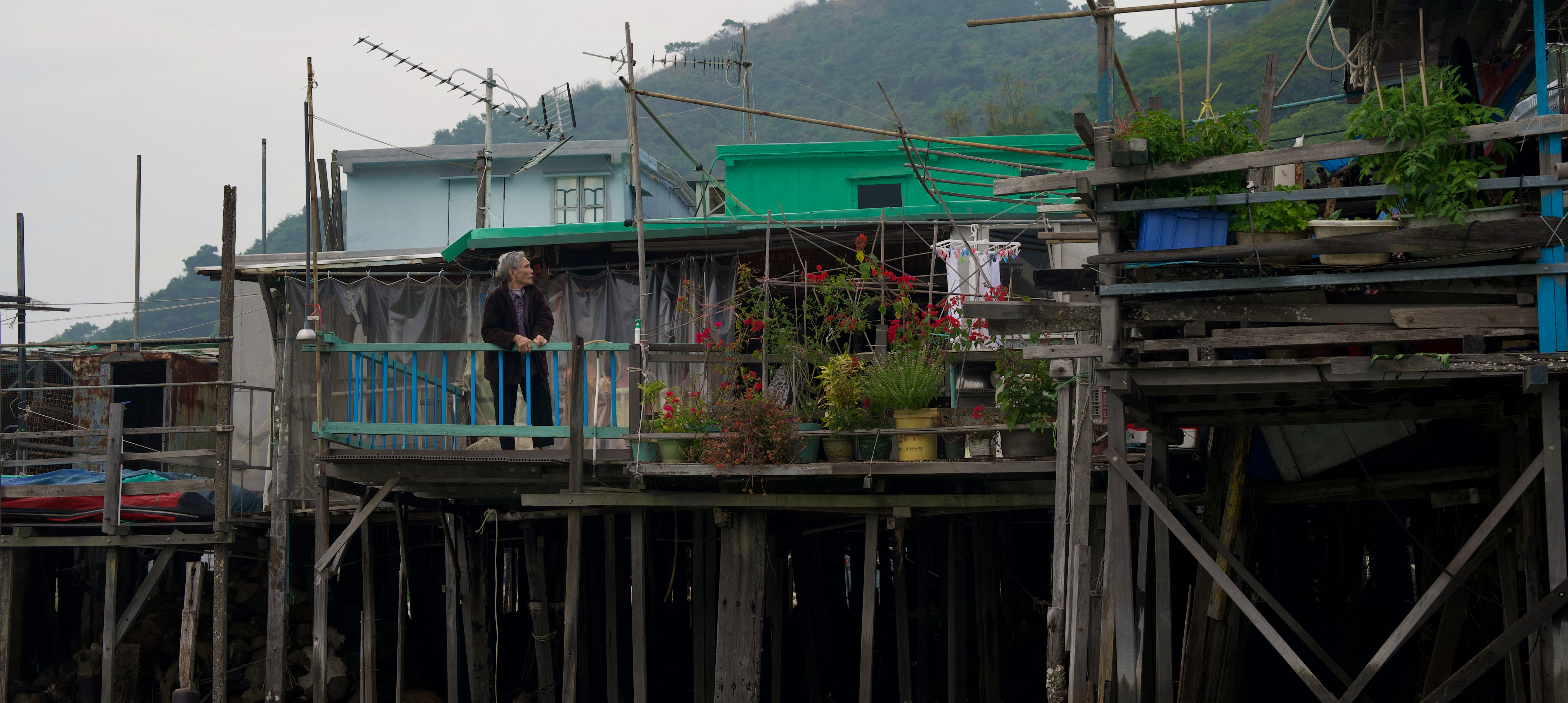 Tai O 5